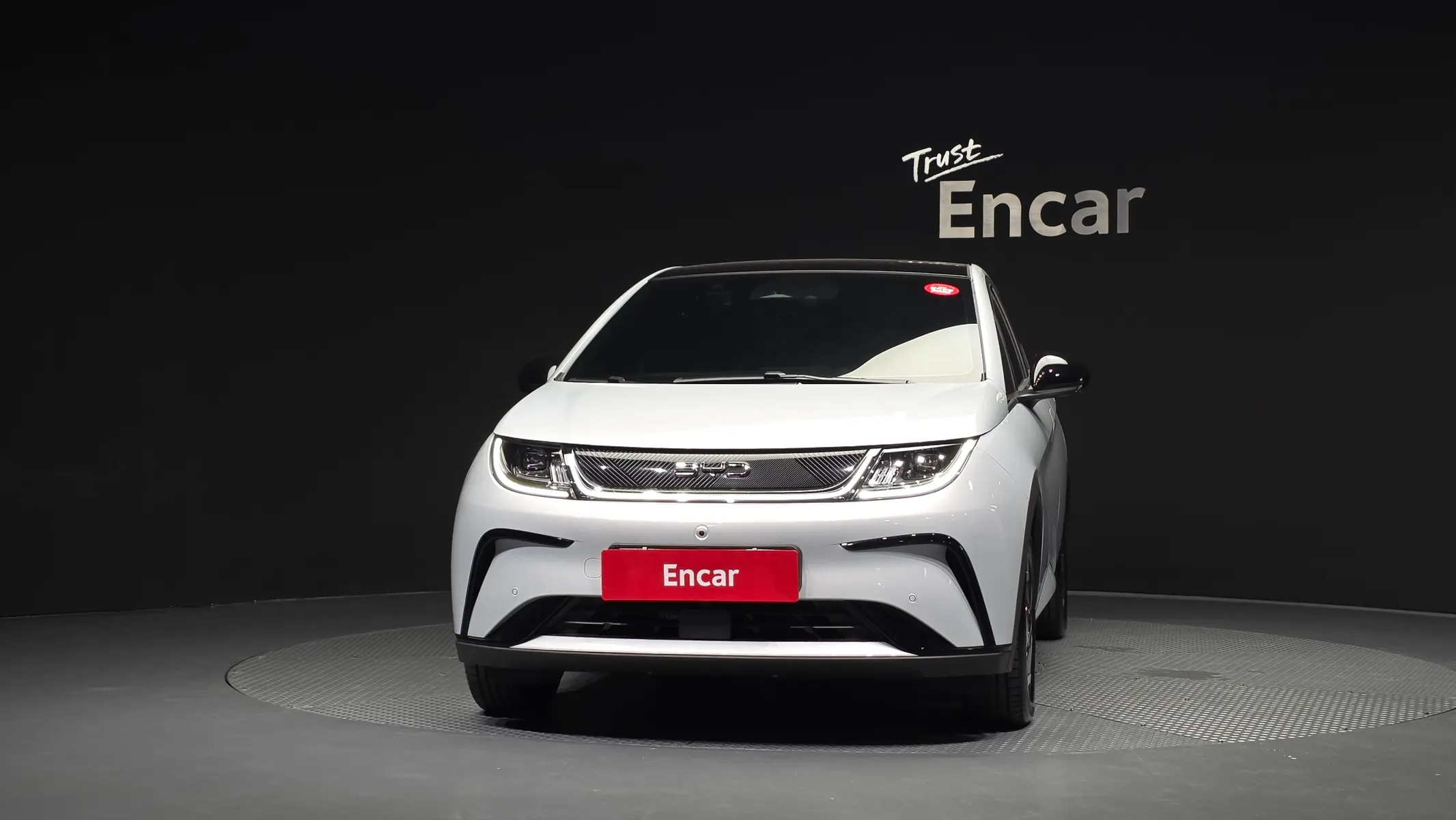 BYD 돌핀 2026 2/5