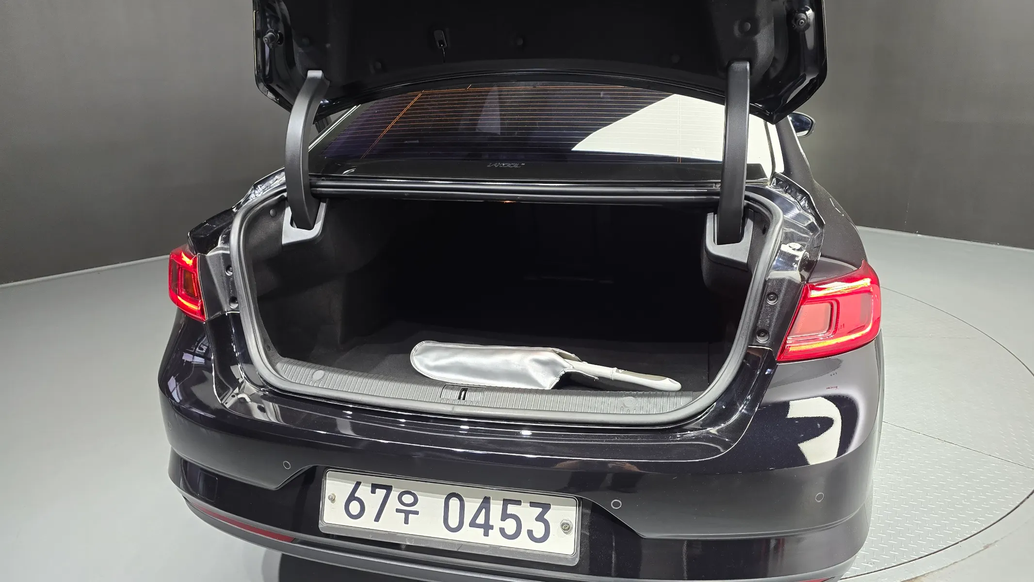 Renault Korea SM6 2.0 GDe SE 2016 20/21