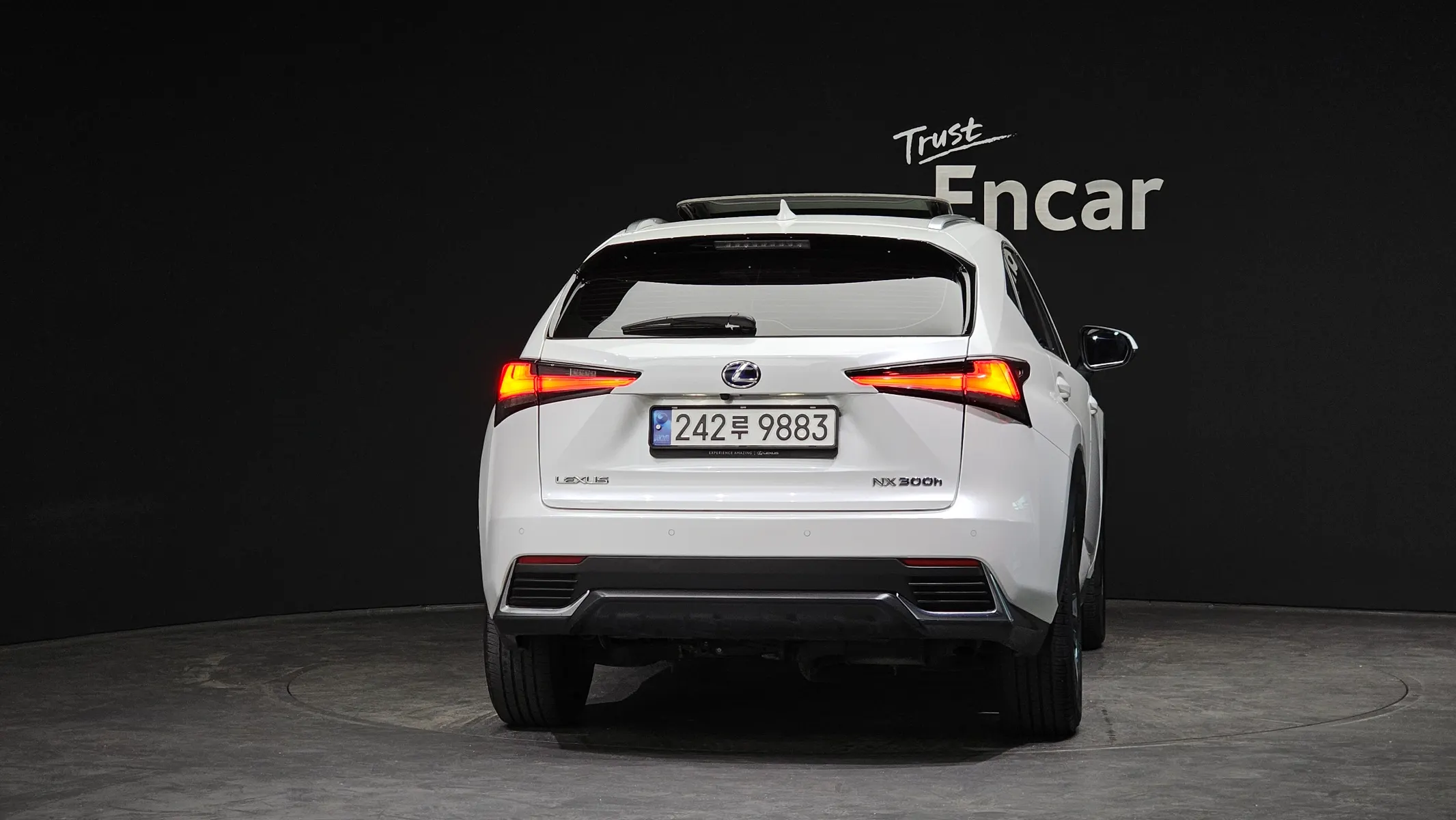 Lexus NX300h 2019 3/5