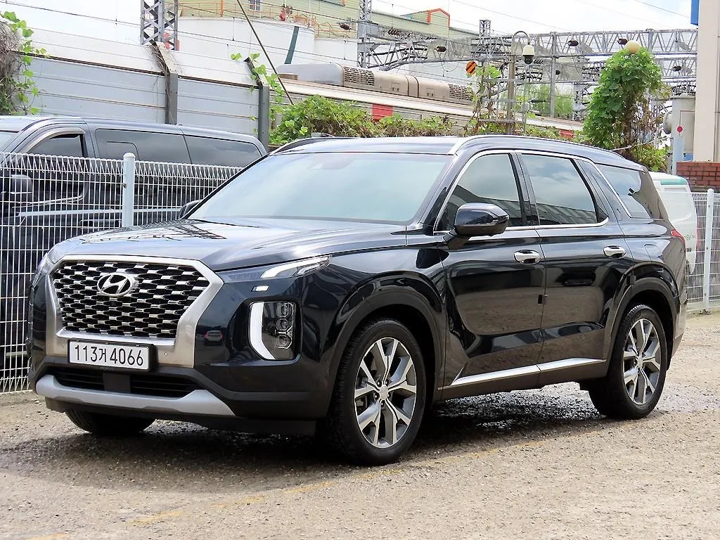 Hyundai Palisade 2.2 2WD 2019 2/21