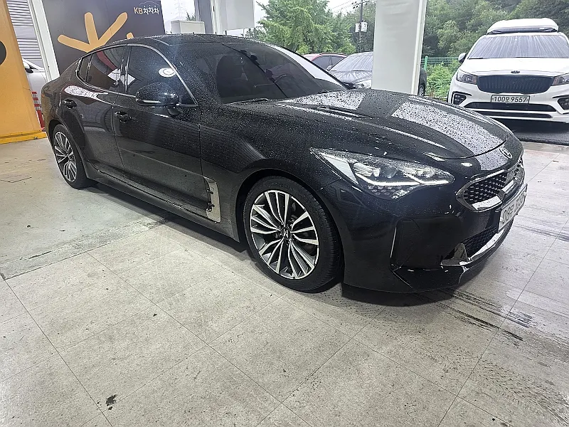 Kia Stinger 2.0 2WD 2017 2/21