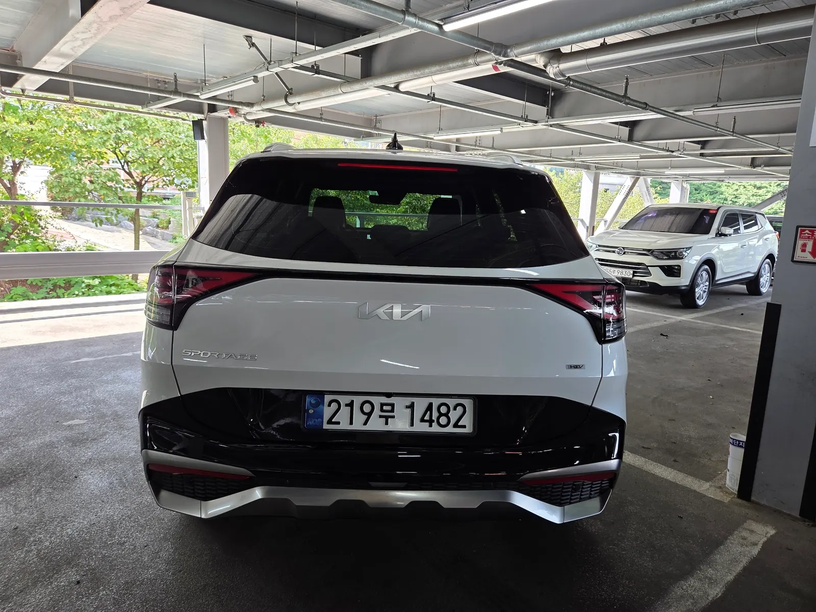Kia 5 2WD 2024 3/21