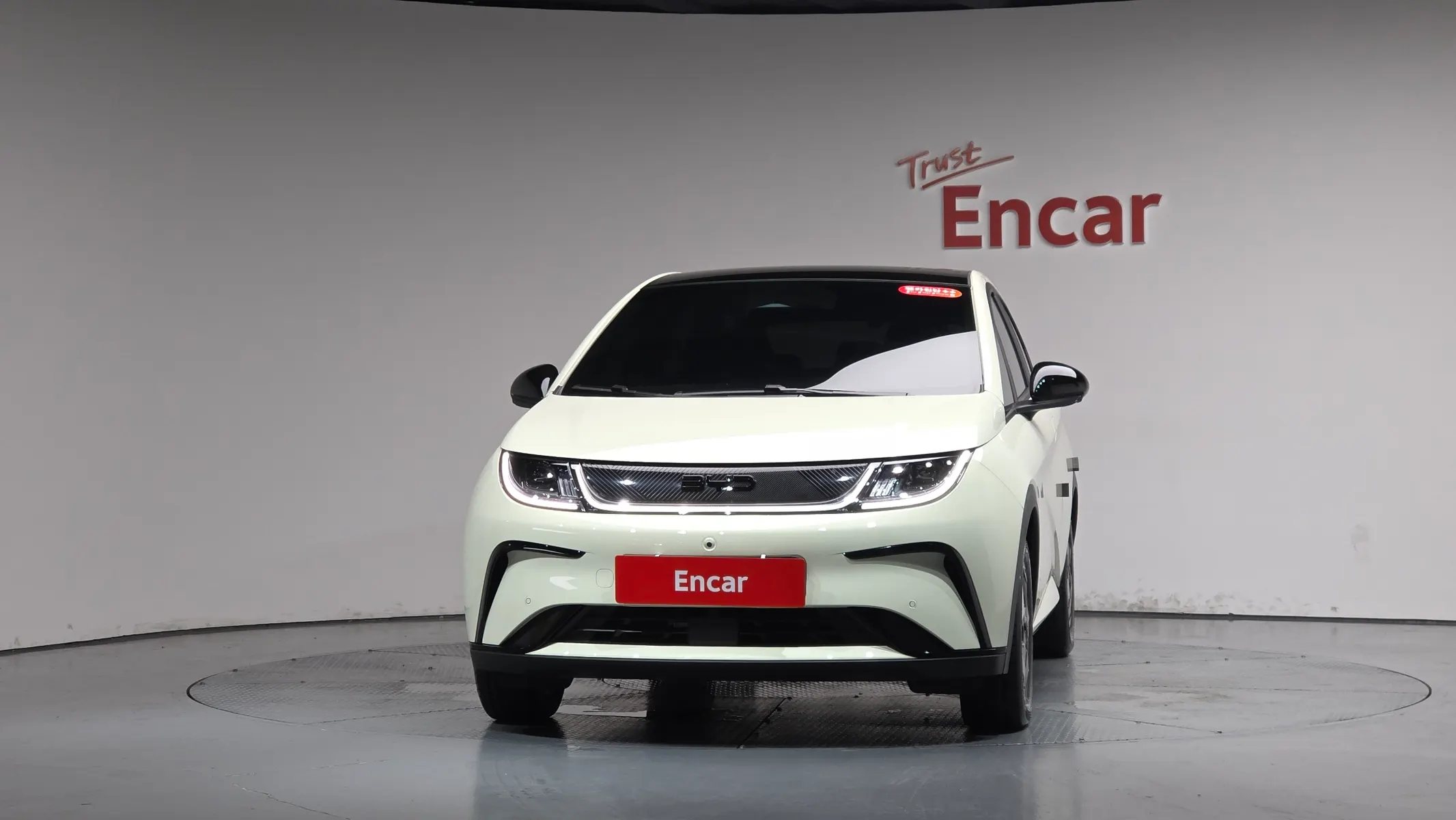 BYD 돌핀 2026 2/5