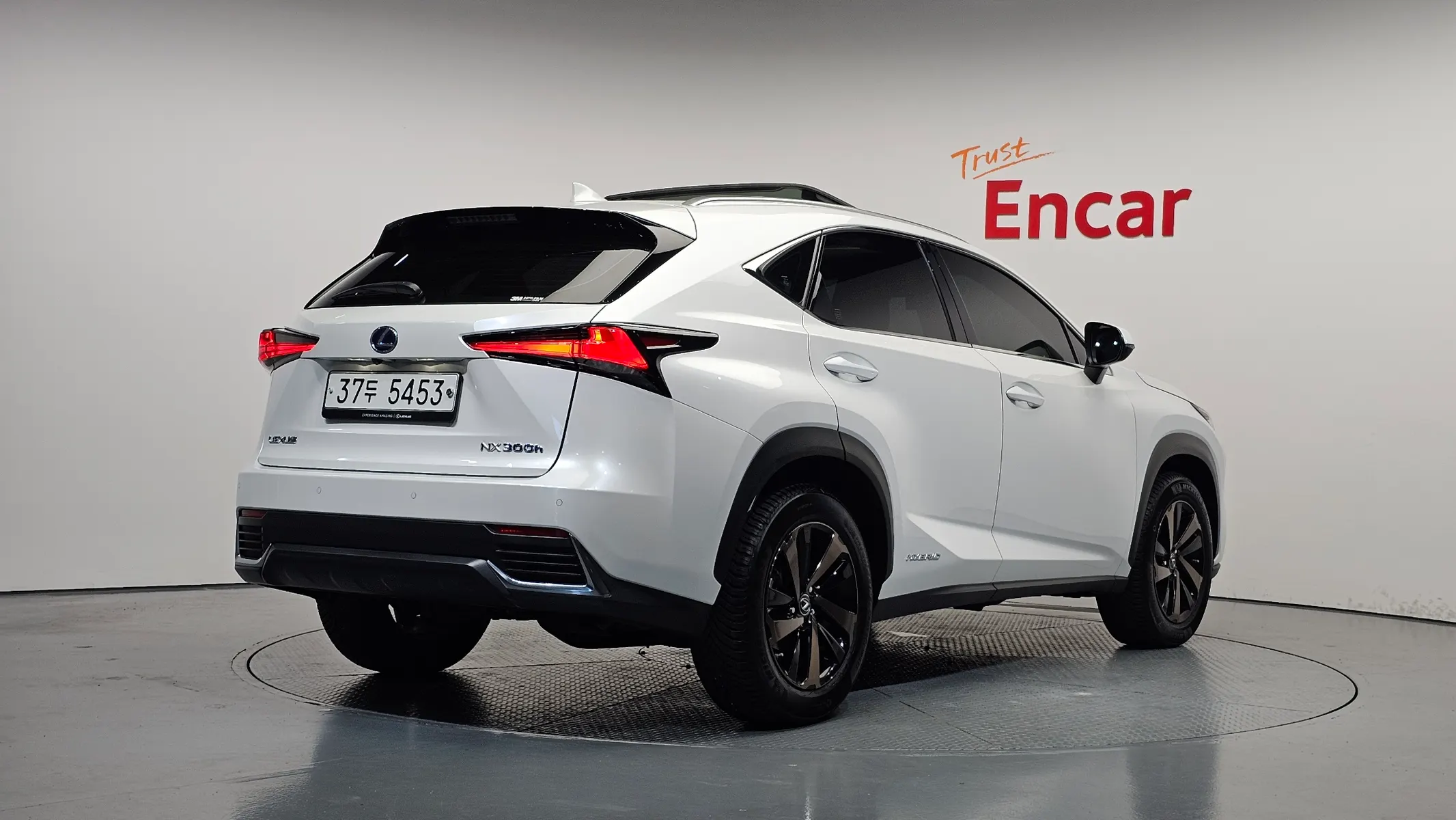 Lexus NX300h 2019 2/40