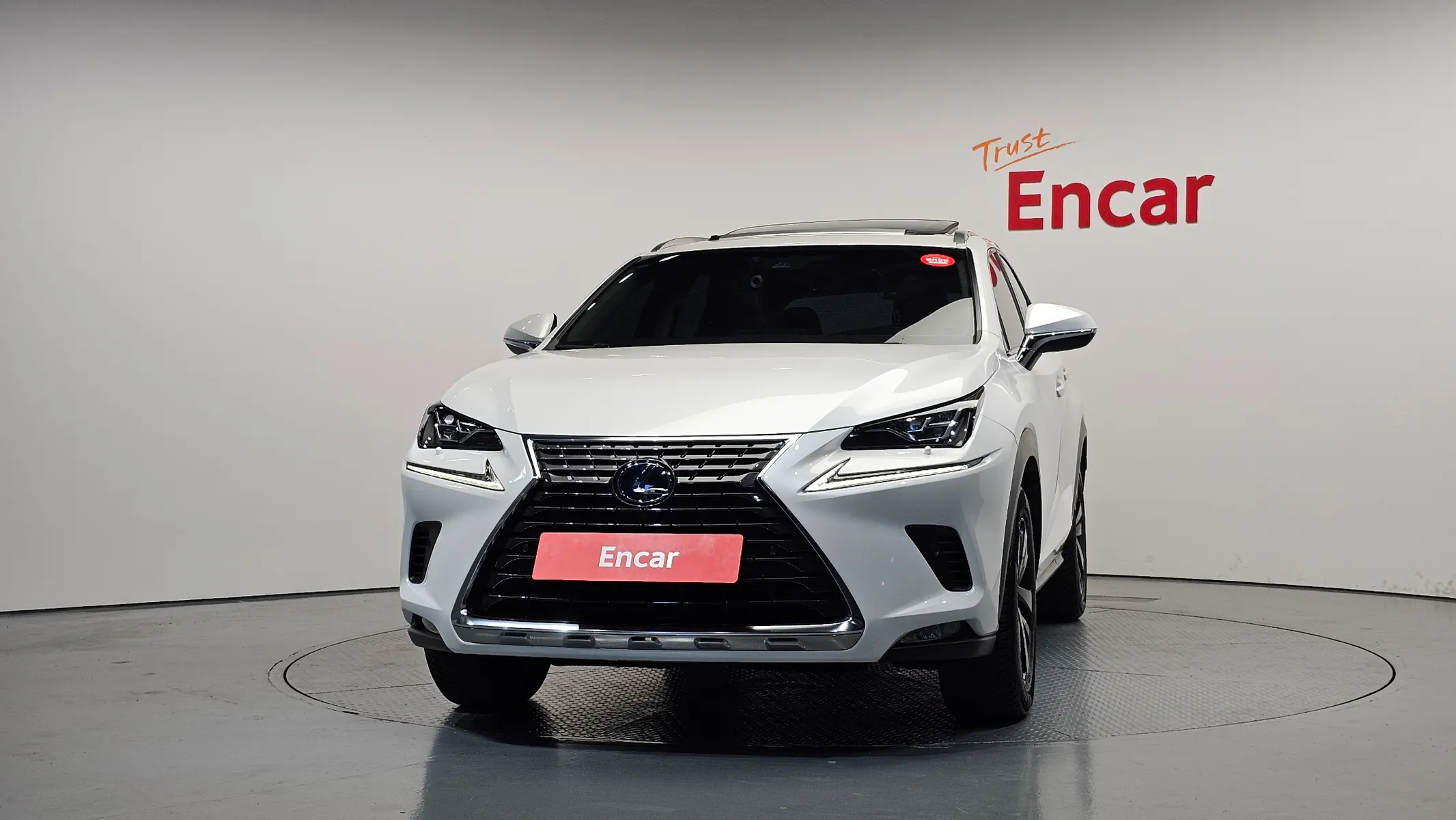 Lexus NX300h 2019 3/40