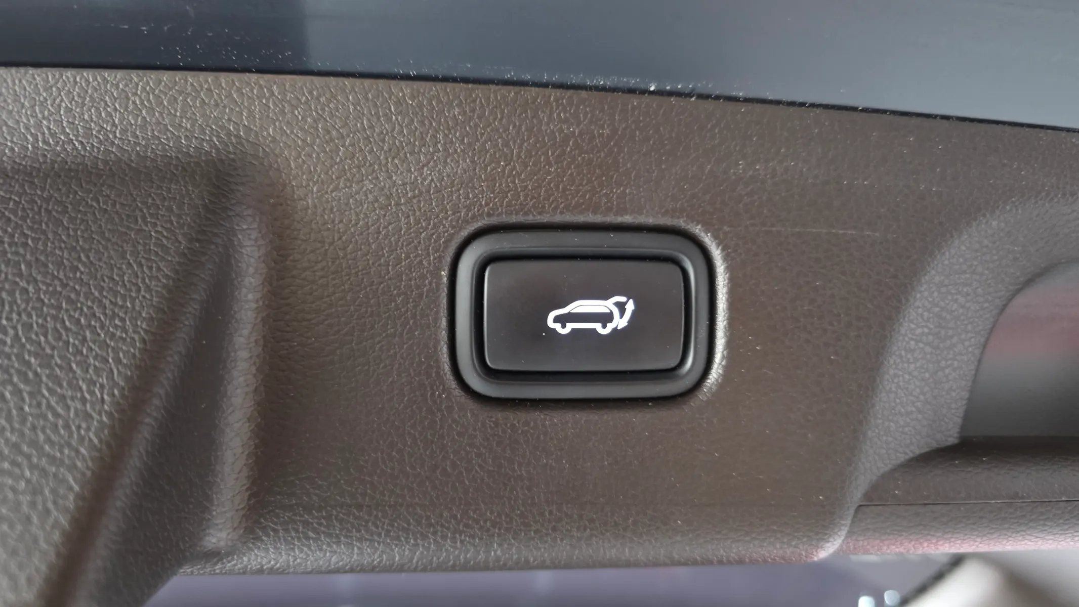 Hyundai Palisade 3.8 4WD 2021 20/21