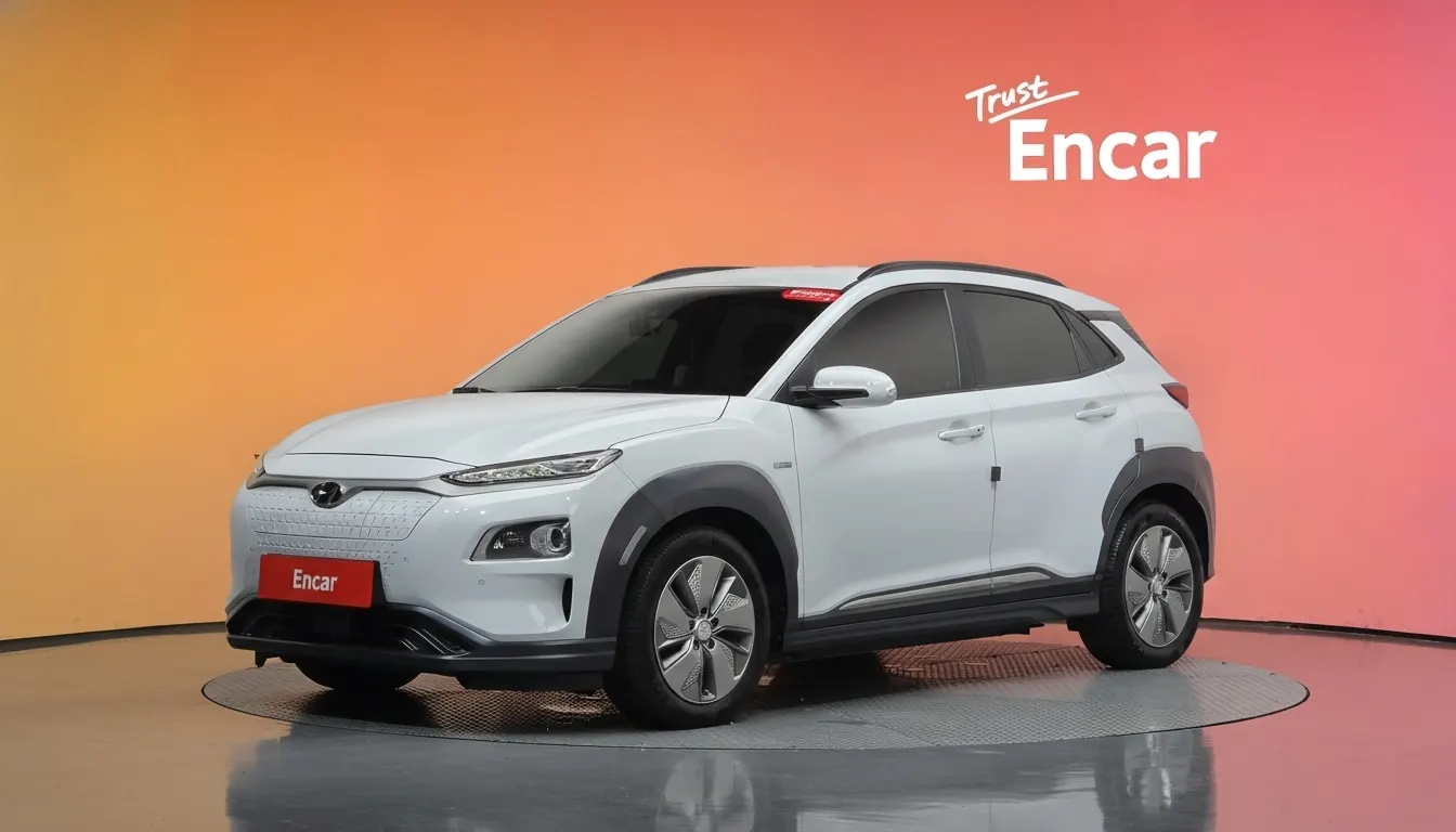 Hyundai 코나 일렉트릭 2019 4/5
