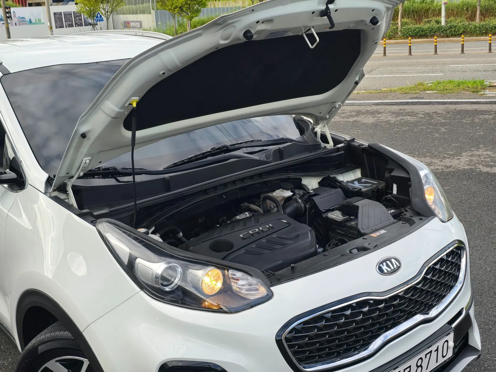 Kia 스포티지 더 볼드 1.6 2WD 2021 20/21
