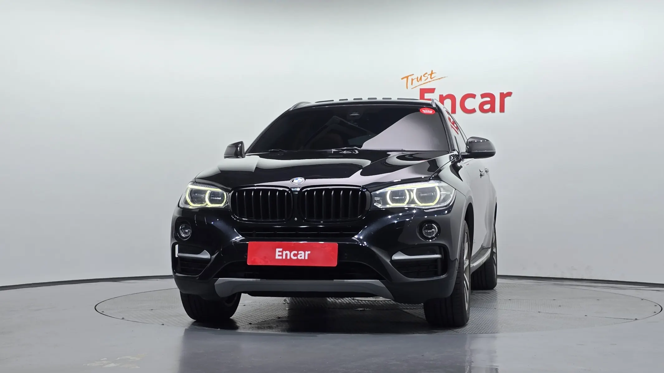 BMW X6 (F16) xDrive 30d 2015 3/21