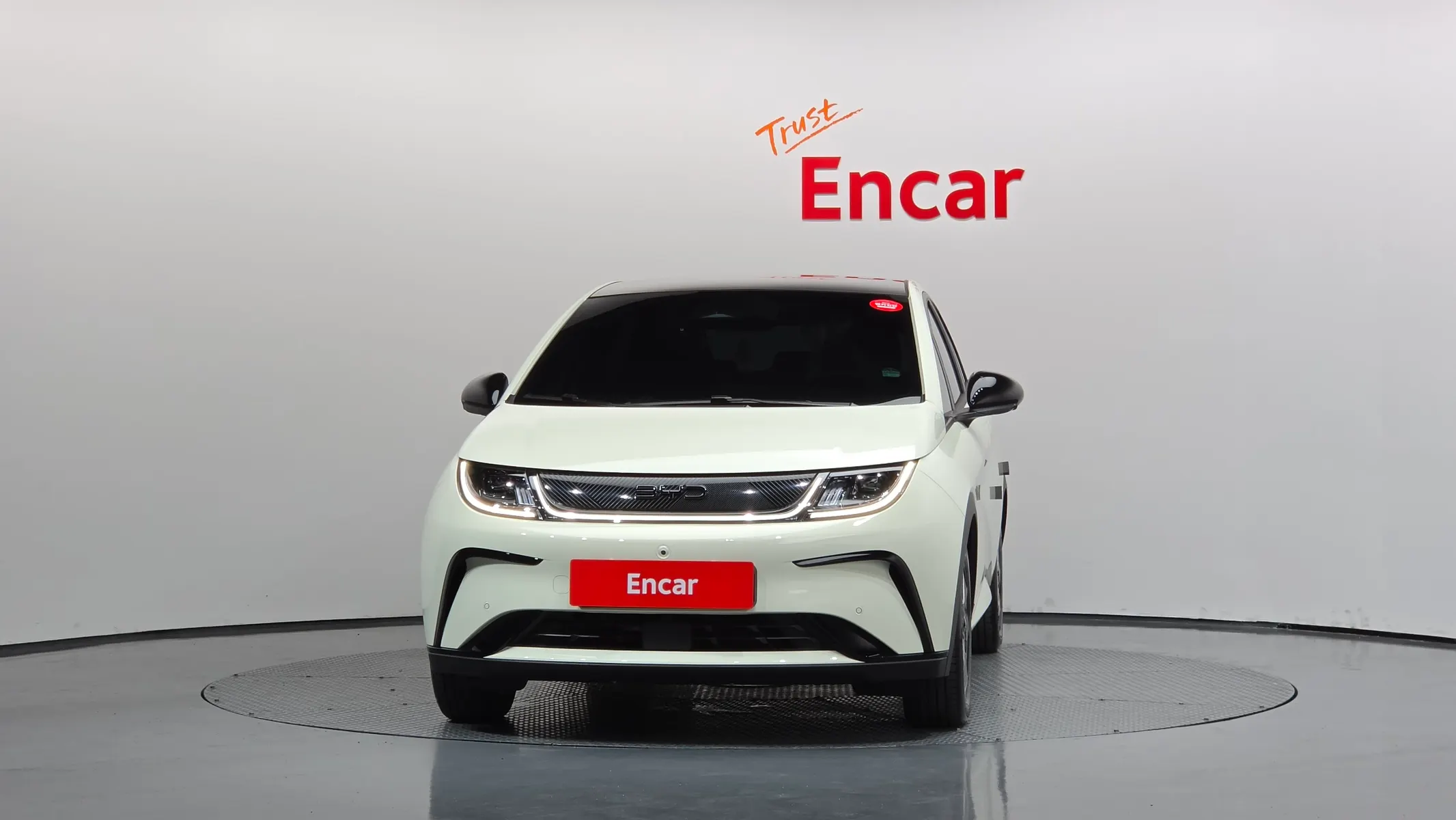 BYD 돌핀 2026 2/5