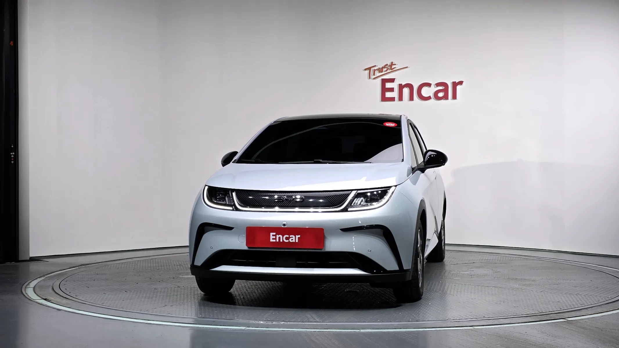 BYD 돌핀 2026 2/5