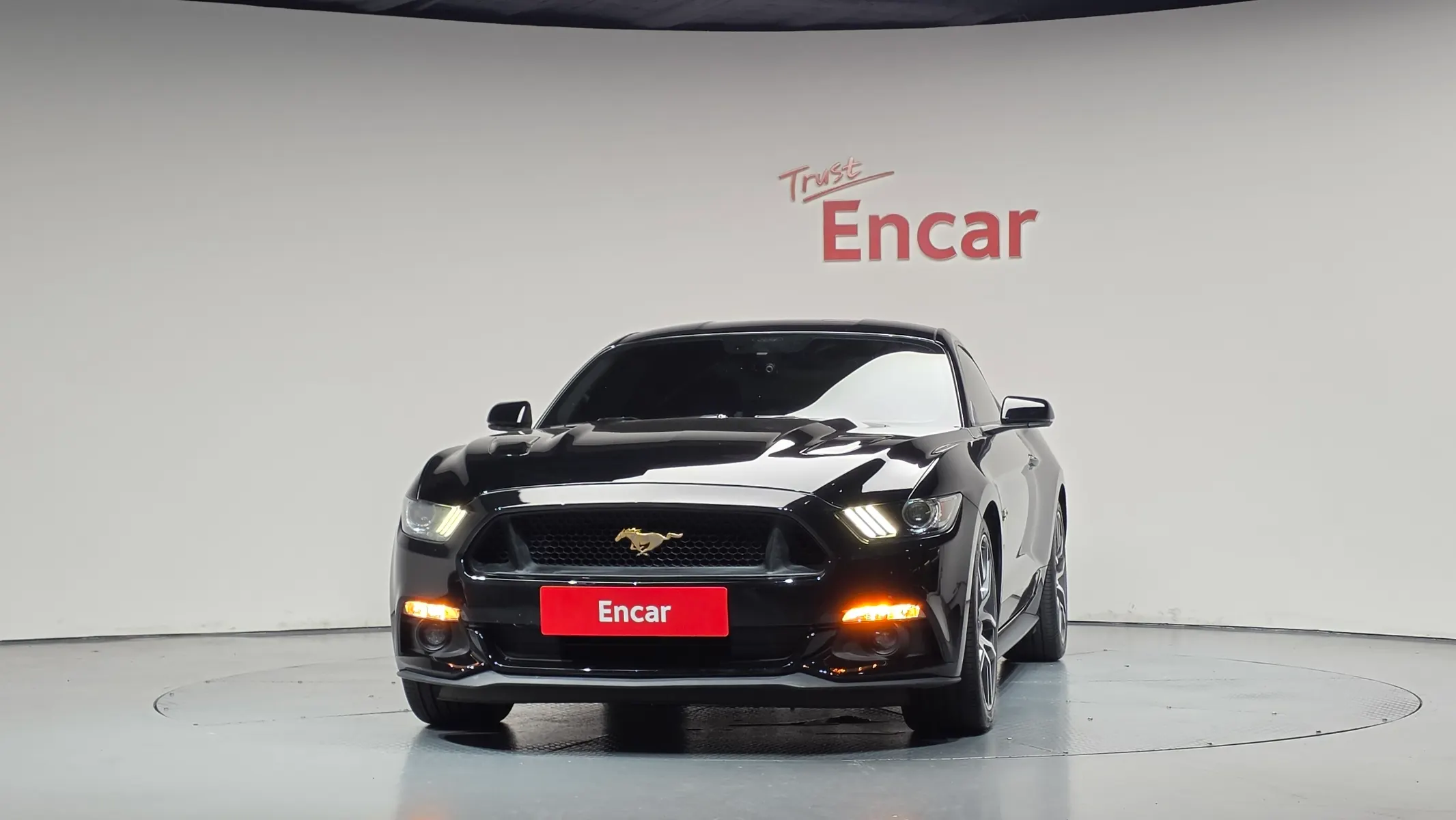 Ford 머스탱 GT 2015 3/33