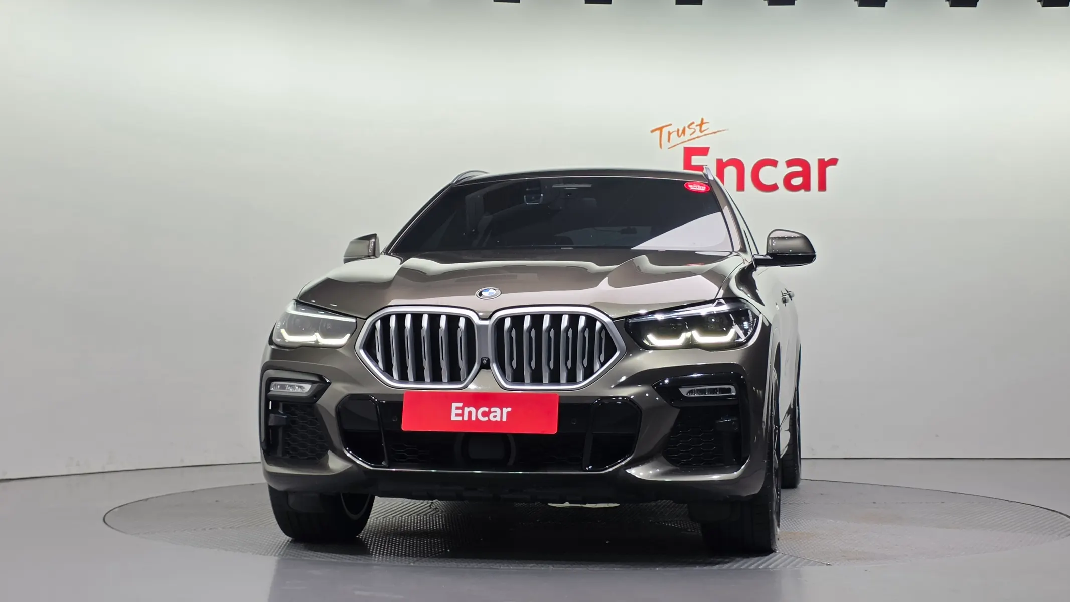 BMW X6 (G06) xDrive30d M 2020 3/21
