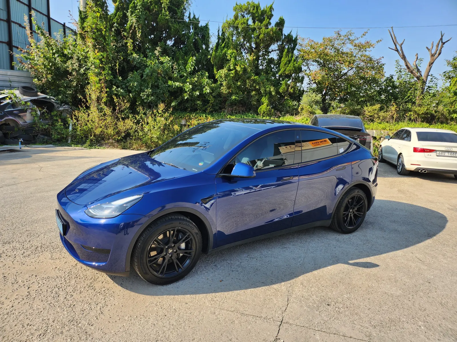 Tesla Y RWD 2024 3/21