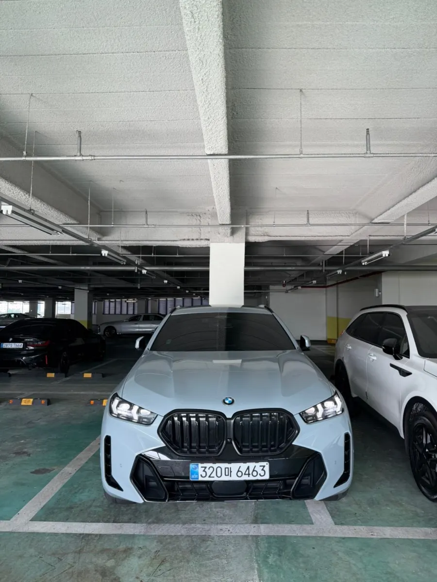 BMW X6 (G06) xDrive40d M 2026 12/13