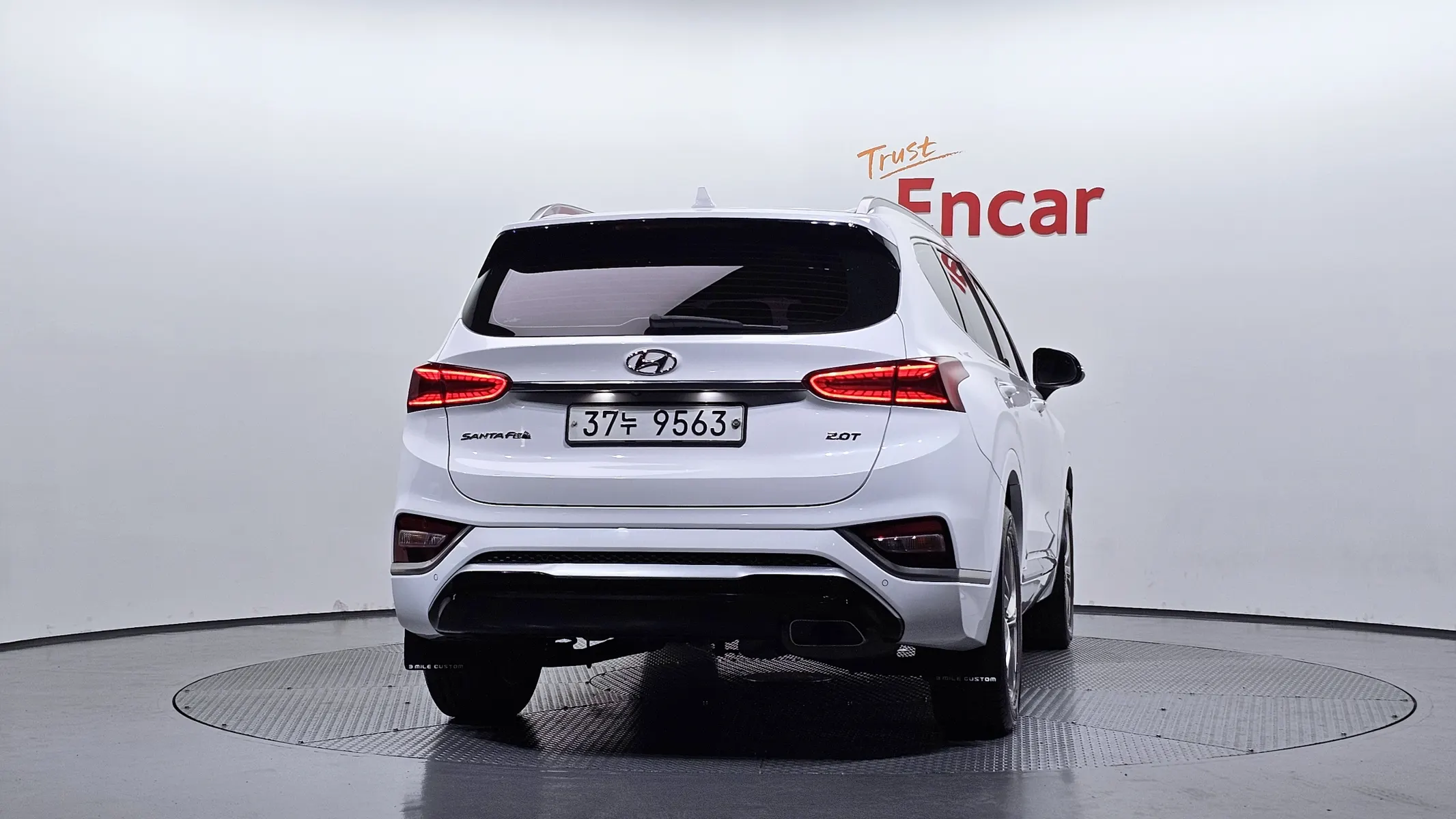 Hyundai TM 2.0T 2WD 2019 3/5