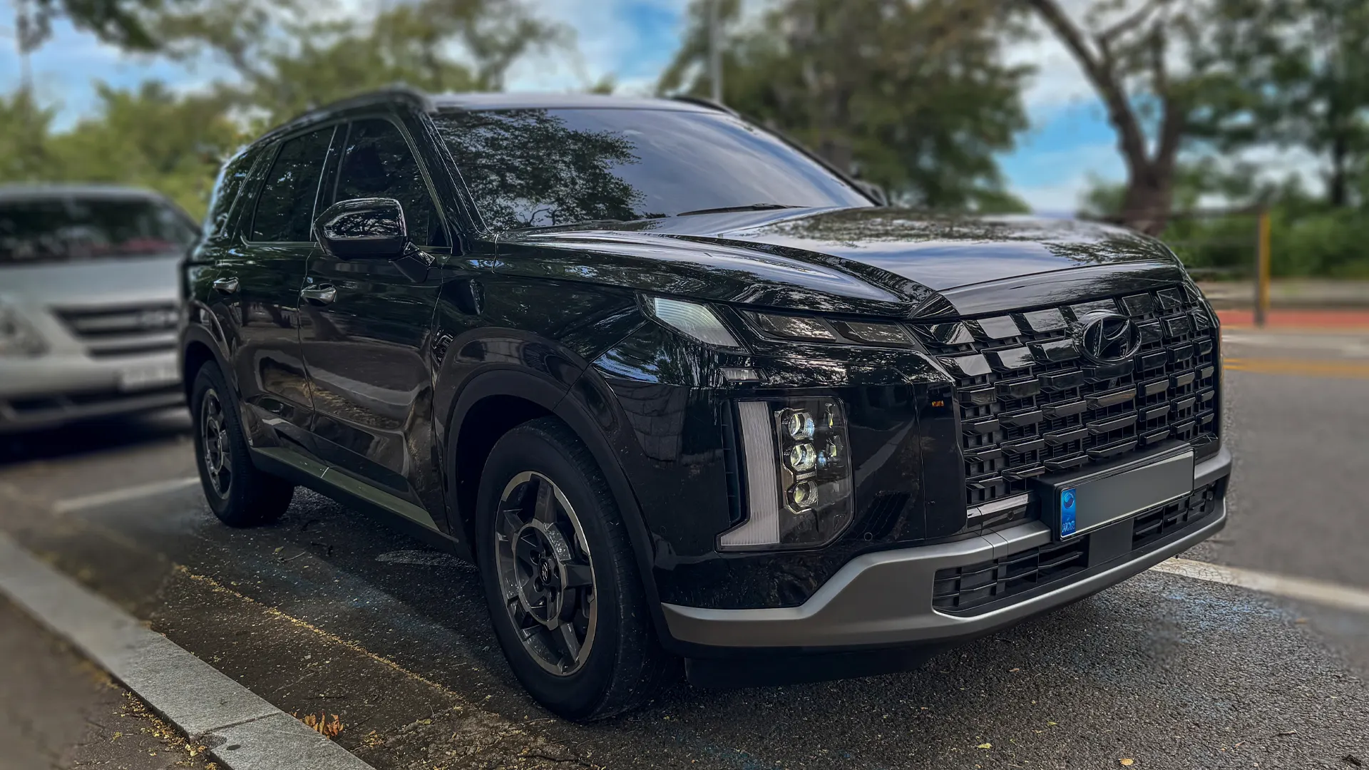 Hyundai 팰리세이드 3.8 4WD 2023 2/21