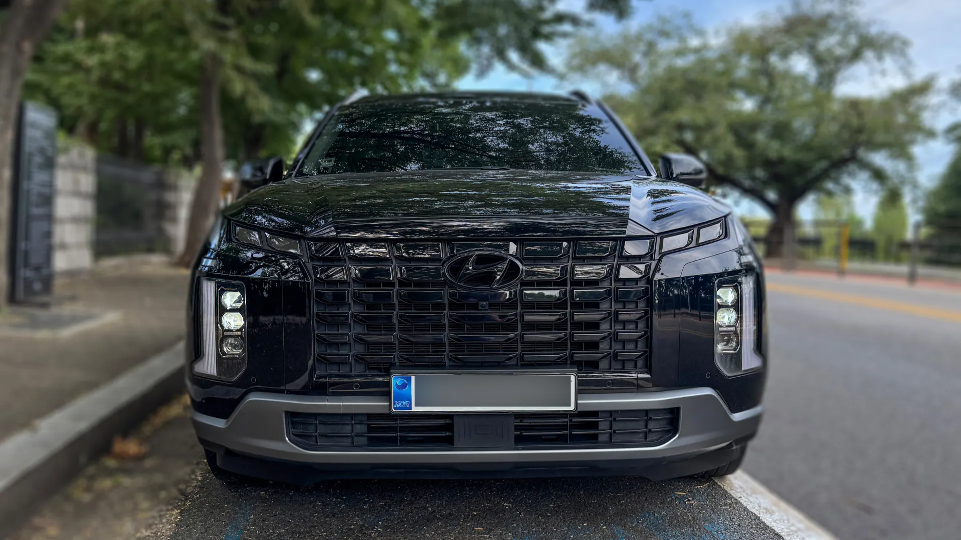 Hyundai 팰리세이드 3.8 4WD 2023 3/21