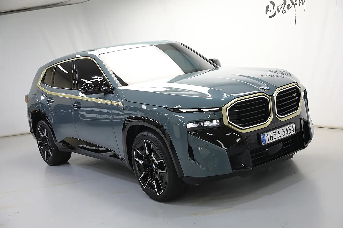 BMW XM (G09) 4.4 2023 2/21