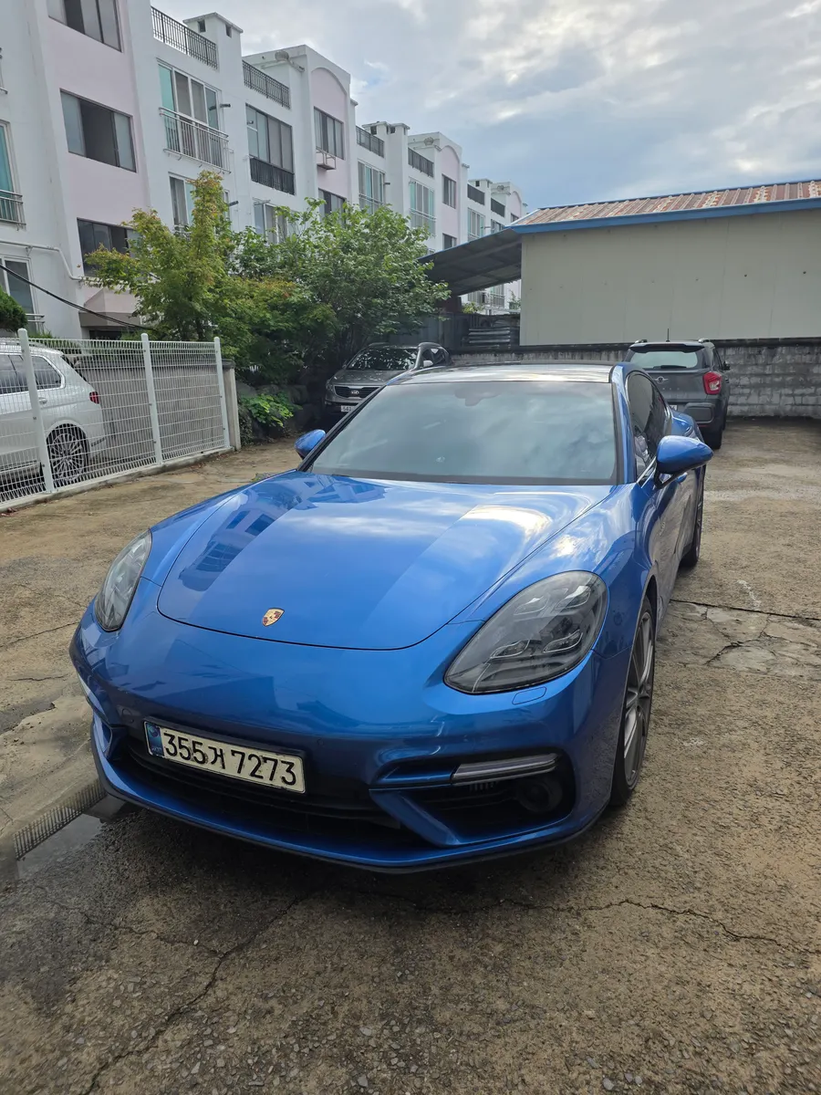 Porsche (971) 4.0 S E- 2018 2/11