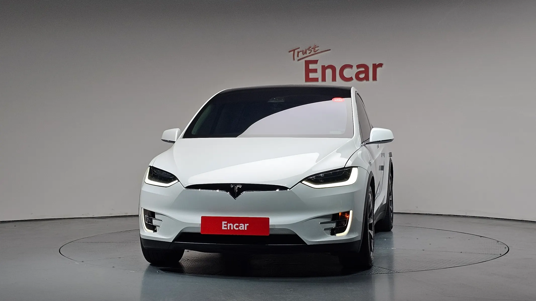 Tesla X 100D 2019 2/5