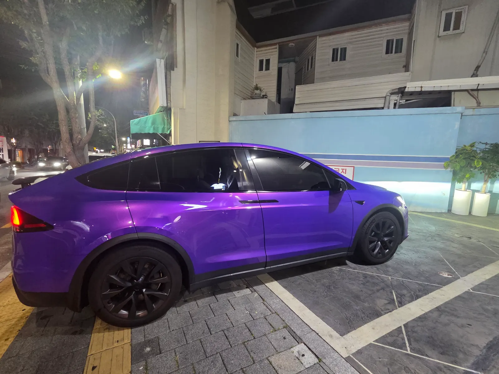Tesla X 2024 2/10