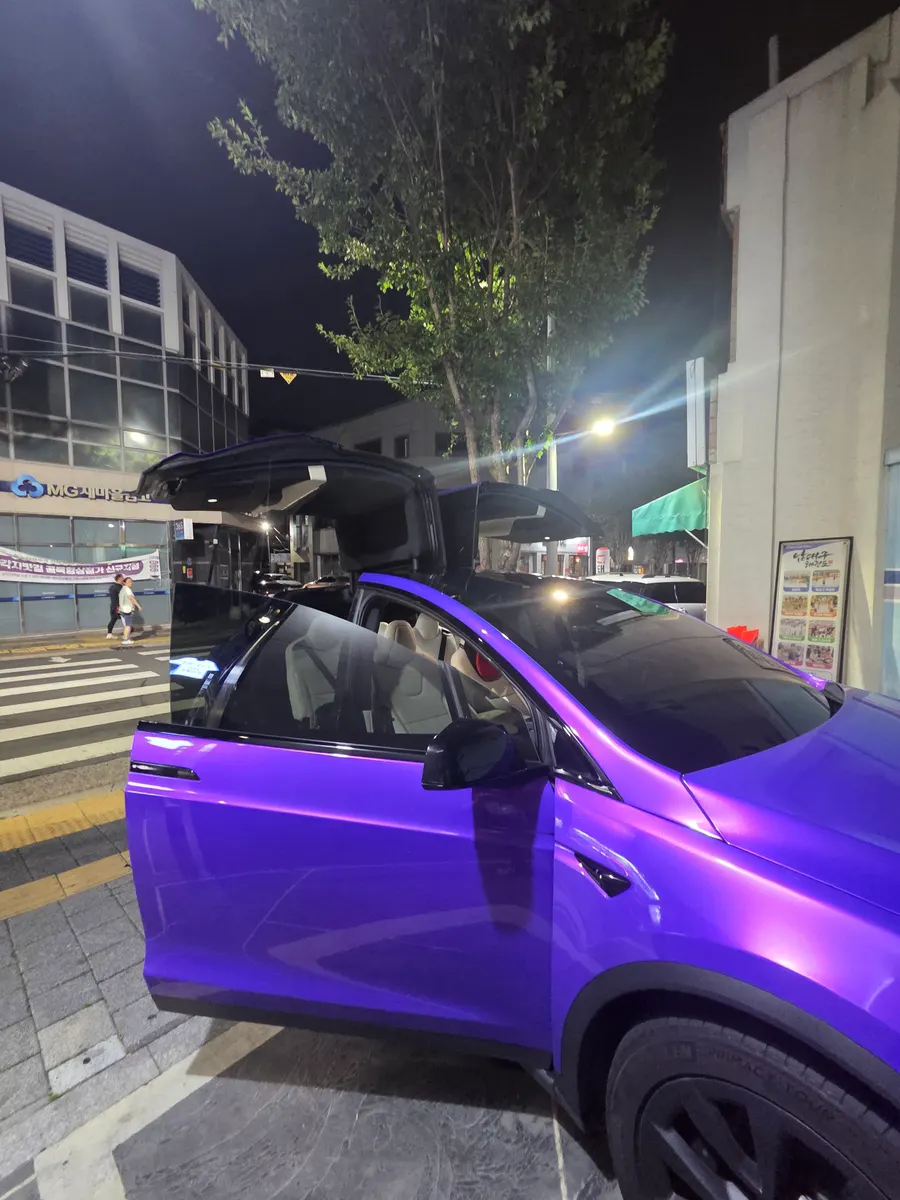 Tesla X 2024 3/10