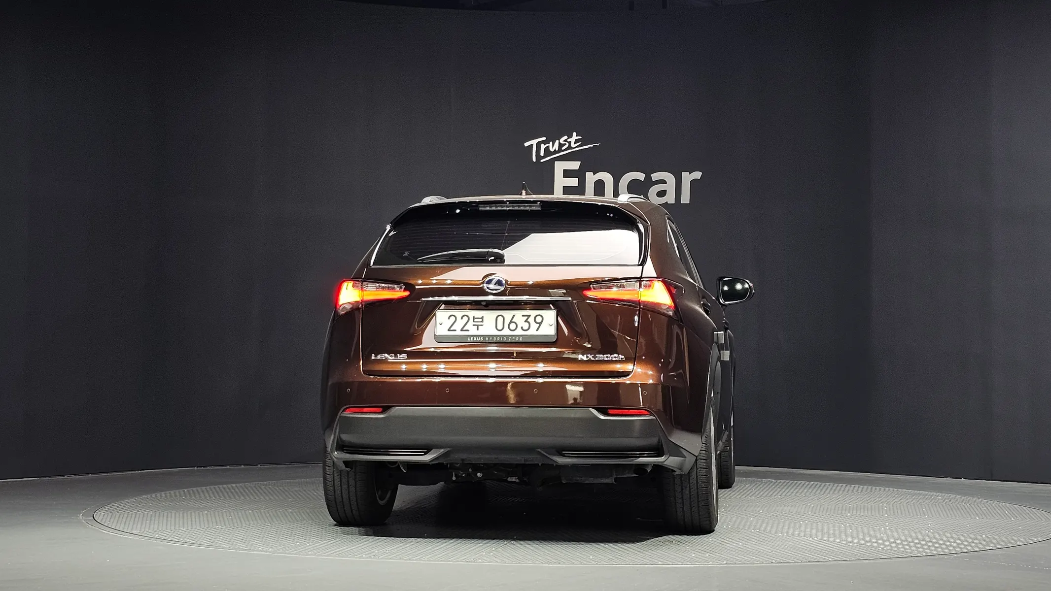 Lexus NX300h 2016 3/5