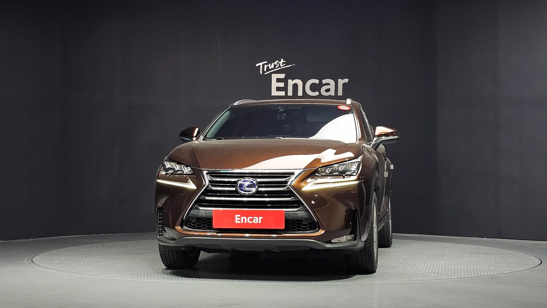 Lexus NX300h 2016 2/5