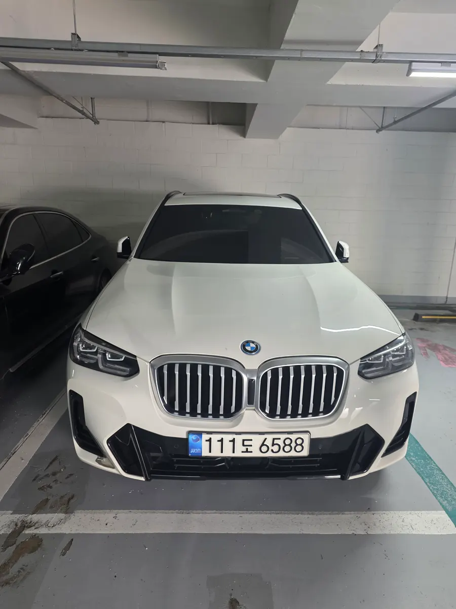 BMW X3 (G01) xDrive 30e M 2021 3/11
