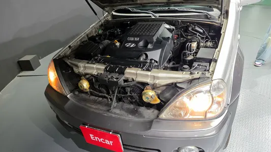 Hyundai 테라칸 4WD EX290 2002 6