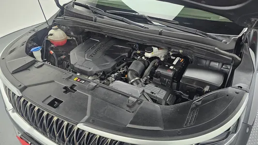 Kia Carnival 11 2020 6