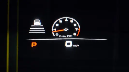 Porsche (PO536) 3.0 2021 19