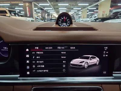 Porsche (971) 2.9 AWD 2023 9