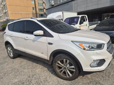 Ford 2 2.0 2017