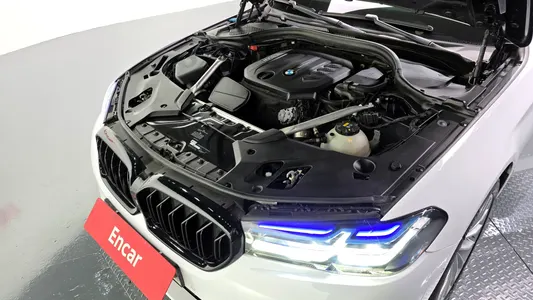 BMW 5 Series (G30) 520d xDrive 2019 6