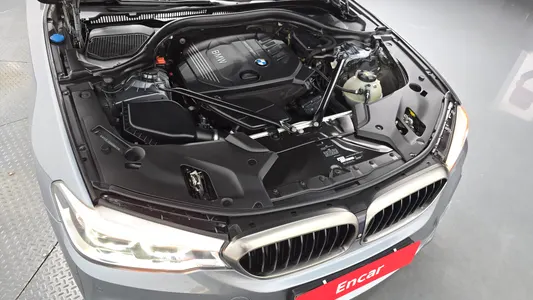 BMW 5 Series (G30) 520d M 2017 5