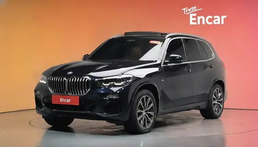 BMW X5 (G05) xDrive 30d M 2019 20