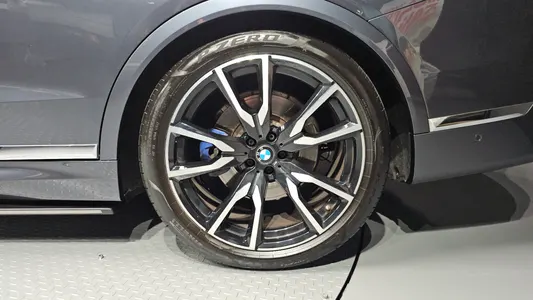 BMW X7 (G07) xDrive 30d M 6 2020 21