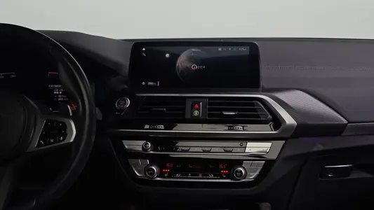 BMW X4 (G02) xDrive20i M X 2020 12