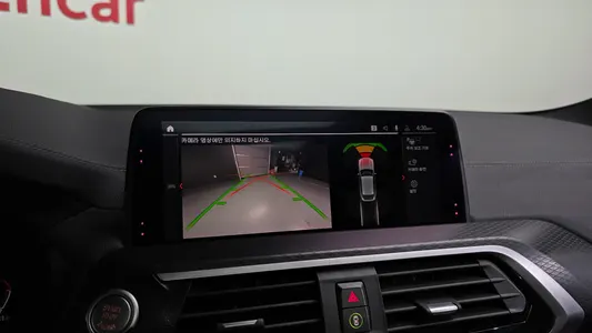 BMW X4 (G02) xDrive20i M X 2020 14