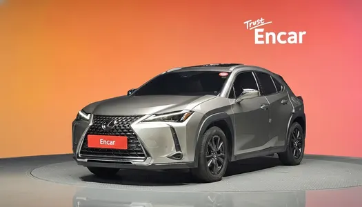 Lexus UX250h 2.0 2WD 2022 21