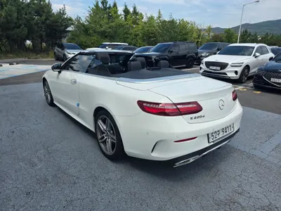 Mercedes-Benz E-Class W213 E220d 2018 10