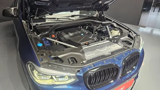 BMW X4 (G02) xDrive20d M 2019 6