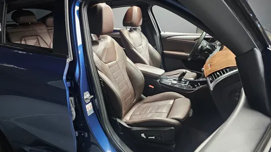 BMW X4 (G02) xDrive20d M 2019 12