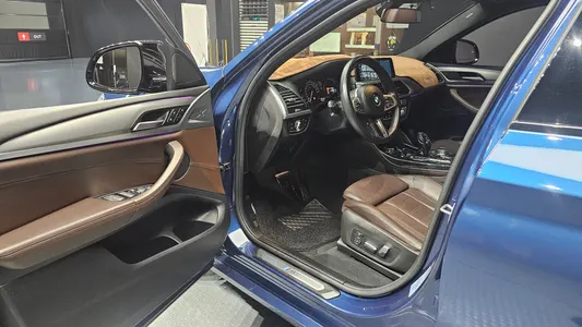 BMW X4 (G02) xDrive20d M 2019 10