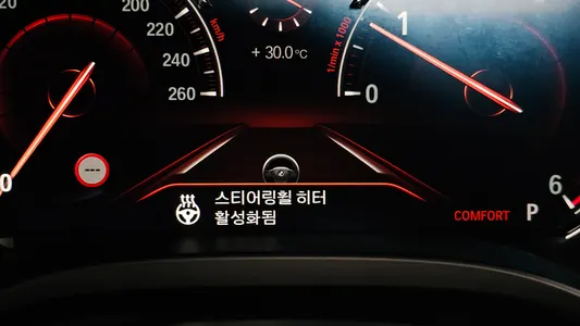 BMW X4 (G02) xDrive20d M 2019 32