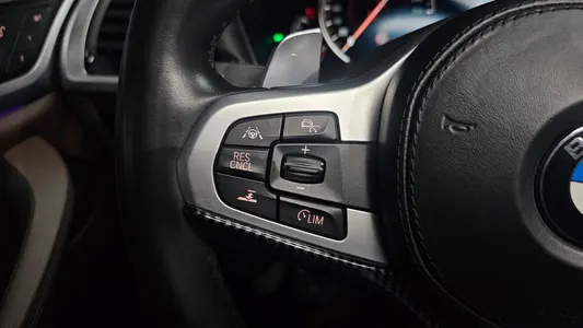 BMW X4 (G02) xDrive20d M 2019 29