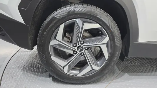 Hyundai (NX4) 2.0 2WD 2021 5