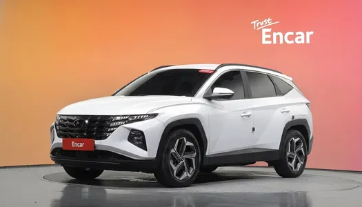 Hyundai (NX4) 2.0 2WD 2021 21